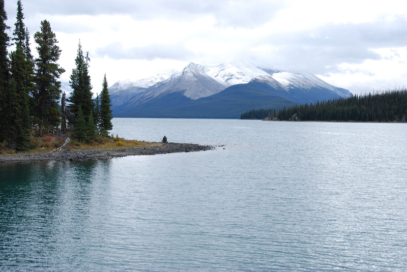 dsc_0988.jpg