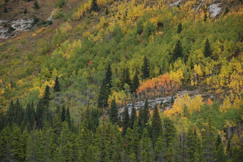 dsc_1244.jpg