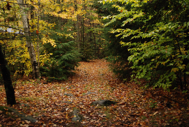 dsc_1975.jpg