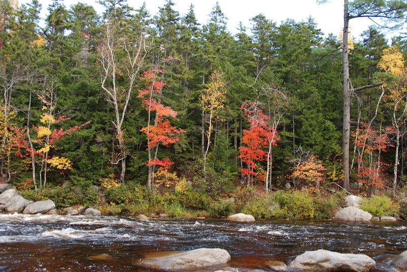 dsc_2121.jpg
