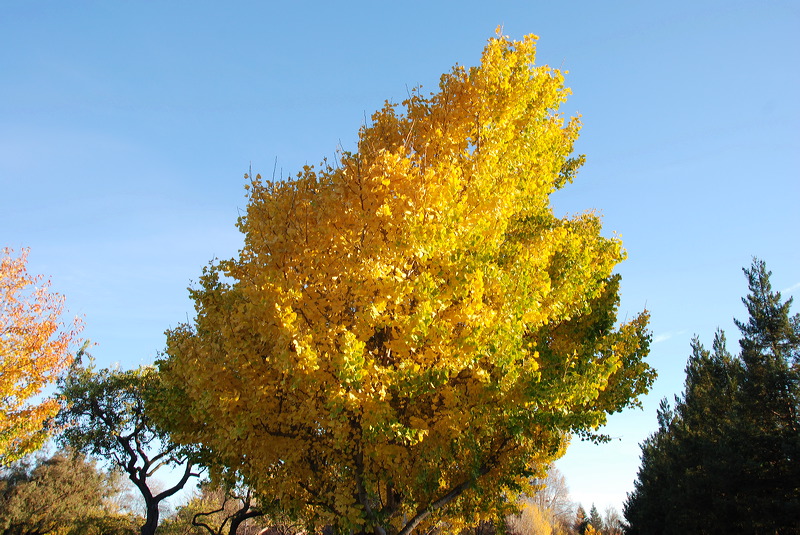 dsc_3005.jpg